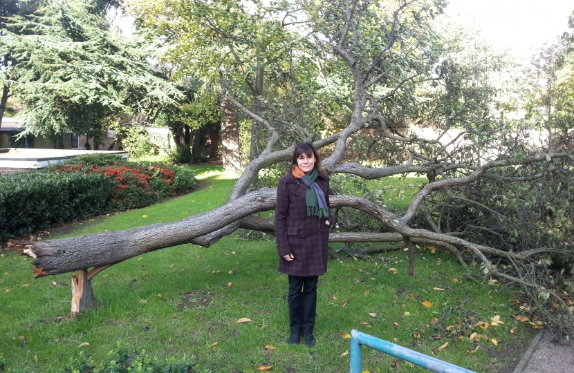 UK storm damage in Furzedown