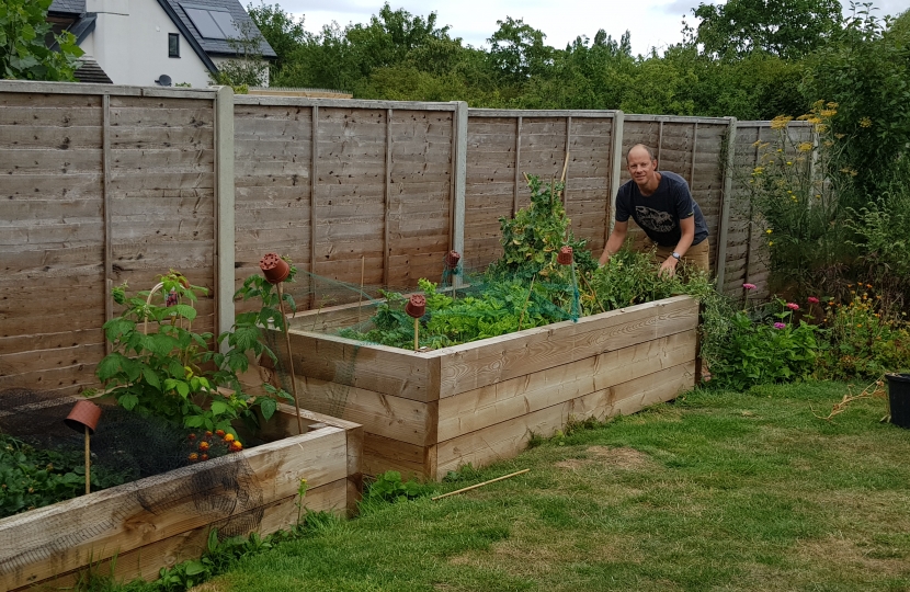 Vegetable growing at home is a way to cut carbon emissions